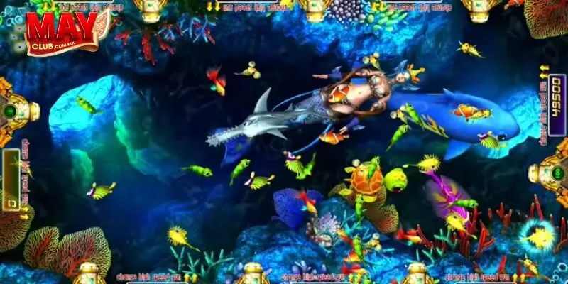 Giới Thiệu Về Bắn Cá Oneshot Trên Mayclub