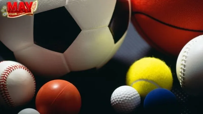 Tổng Quan Về Thể Thao Mayclub